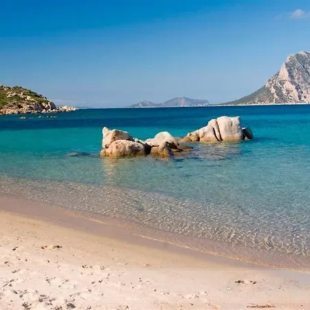 Farfalla Azzurra San Teodoro (Sardinia)