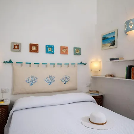 Farfalla Azzurra Tatil Evi