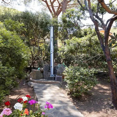 Tatil Evi Farfalla Azzurra San Teodoro (Sardinia)