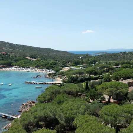 Farfalla Azzurra San Teodoro (Sardinia)