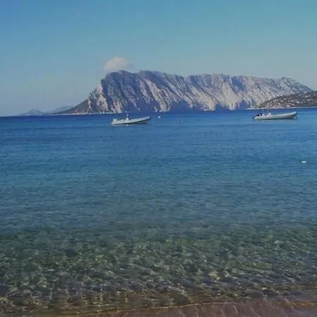 Farfalla Azzurra * San Teodoro (Sardinia)